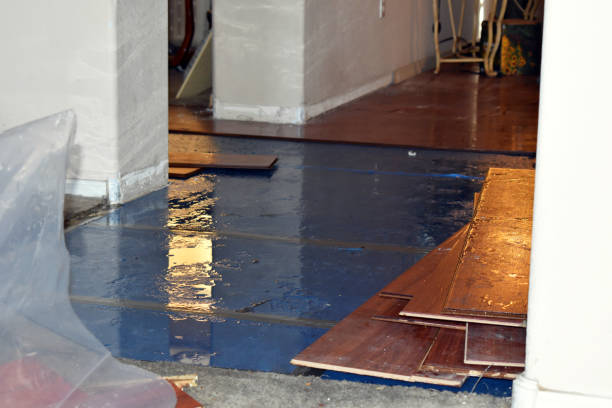 Professional Sewage Cleanup technician working in Ralls, TX